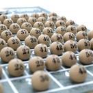 Bolinhas Plásticas de 1 a 75 para Bingo e Sorteio 2cm 779BOL Bolinhas Plásticas de 1 a 75 para Bingo e Sorteio 2cm 779BOL