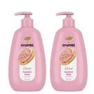 Bolo de confete líquido para lavagem de mãos Dove X Crumble, 355 ml, pacote com 2 unidades