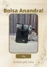 Bolsa feminina anandra