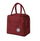 Bolsa Feminina Vermelha Térmica Marmita Masculina Fitness