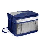 Bolsa Térmica 20 Litros Ref 3611Mor Bolsa Térmica 20 Litros Ref 3611Mor