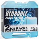 Bolsas de gelo reutilizáveis Everlasting Ice RX Cooler (2 unidades)