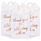 Bolsas Thank You Sparkle and Bash, pacote com 15, médias, 25x20x10cm