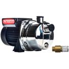 Bomba autoaspirante thebe tjet-60 inox 1/2cv ip44 monofasico 127/220