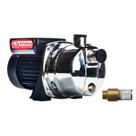Bomba Autoaspirante Tjet-60 1/2 Cv Monofásico Motor Thebe Ip44 127/220v Bomba Autoaspirante Tjet-60 1/2 Cv Monofásico Motor Thebe Ip44 127/220v
