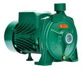 Bomba Centrifuga B-15 1.5cv Monofásico 127/220v Thebe