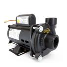 Bomba Centrífuga Jacuzzi 7NDS 3/4 CV Monofásica 127/220V