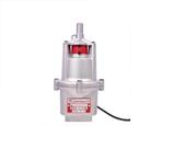Bomba D'Água Anauger 650 5Geração 220v