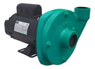 Bomba D'agua Centrífuga Alta Vazão Wdm 2,0hp Motor Weg
