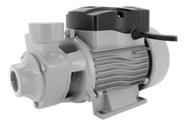 Bomba D' Agua Periferica Poço Irrigação 1/2 Cv 220v Razi