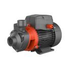 Bomba dágua Periférica APM37 0,5HP - Lepono