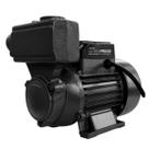 Bomba de Água Autoaspirante 1CV 1Pol. 750W Bivolt 100032439 Bomba de Água Autoaspirante 1CV 1Pol. 750W Bivolt 100032439