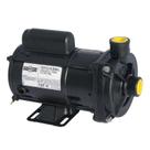 Bomba De Água Centrifuga Dancor Cp4 1/2C Bivolt