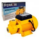 Bomba De Agua Ferrari Periferica Acquaflow 1/2Cv. 127V.
