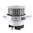 Bomba de agua Fox Polo Gol Polo Classic Golf Indisa 452001