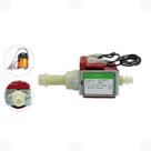 Bomba de Sucção Eletromagnética KPI 120V/60Hz Extratora WAP