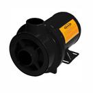Bomba Hidromassagem 1LQ-M 1,0 Cv - 127/220V - Jacuzzi
