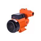 Bomba Intech Auto Aspirante Bivolt BPA500 1/2HP