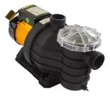 Bomba Jacuzzi Para Piscinas 0,5cv 5fm2 220v Original