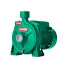 Bomba Monoestágio B-10 1/2 Cv Monofásico Motor Thebe Ip44 127/220v Bomba Monoestágio B-10 1/2 Cv Monofásico Motor Thebe Ip44 127/220v