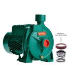 Bomba Monoestágio B-10 1/2 Cv Monofásico Motor Thebe IP44 127/220V Selo/Anel Viton Ebara