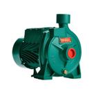 Bomba Monoestágio B-10 1/3 Cv Monofásico Motor Thebe Ip44 127/220v Selo / Anel Viton Bomba Monoestágio B-10 1/3 Cv Monofásico Motor Thebe Ip44 127/220v Selo / Anel Viton
