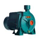 Bomba Monoestágio B-10 1/4 Cv Monofásico Motor Thebe Ip44 127/220v