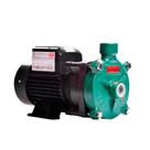 Bomba Monoestágio B-12 1/2 Cv Rotor 112cm Monofásico Motor Thebe Ip55 127/220-254v