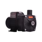 Bomba Monoestágio B-12 P 1/2 Cv Rotor 112mm Monofásico Motor Thebe IP55 127/220-254V Preto Ebara