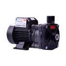 Bomba Monoestágio B-12 P 1/3 Cv Rotor 104mm Monofásico Motor Thebe Ip55 127/220-254v