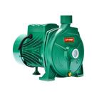 Bomba Monoestágio B-13 3/4 Cv Monofásico IP44 127/220 V Verde Ebara Bomba Monoestágio B-13 3/4 Cv Monofásico IP44 127/220 V Verde Ebara