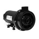 Bomba Para Hidromassagem Dancor CHS-22 2 CV Motor WEG Monofásico 127V/220V