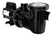 Bomba Para Piscina Profissional Autoescorvante Bivolt