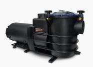 Bomba Para Piscina Schneider EKO 1,5cv Rotor 123mm Trifásico 220/380v