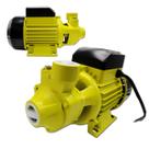 Bomba Periférica AquaPulse 1/2CV 220V 26M 33L/Min Titanium Platina
