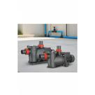 Bomba Piscina 1/4CV XKP305 - Água Cristalina e Limpa Bomba Piscina 1/4CV XKP305 - Água Cristalina e Limpa