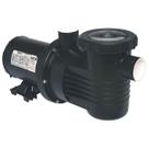 Bomba Piscina Dancor Pf17 1/3 Bivolt Bomba Piscina Dancor Pf17 1/3 Bivolt