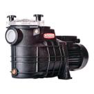 Bomba Piscina Tsw-250 1/3 Cv Monofásico Motor Thebe Ip44 127/220v