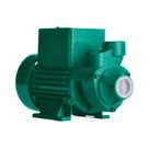 Bomba Solar Periférica Tp Ci 272 W Motor Thebe Ip44 44v