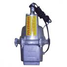 Bomba Subm Planalto 1'' 220V Pa900