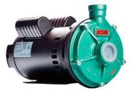 Bomba Th-16 Nr 3,0 Cv 159mm Mono Ip23 127/220-254v Thebe Verde 127/220v 60hz Monofásica