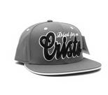 Boné Aba Reta Snapback Cinza Cristo Died For Us Bordado Relevo 3D Premium Ajustável Urbano