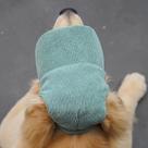 Boné De Beisebol Ajustável Para Cachorro, Chapéu De Sol Respirável Para Animais De Estimação Com