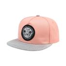 Boné De Beisebol Snapback Unissex Adulto Estilo Hip Hop Com Estampa De Árvore De Coco Para Praia, Boné De Beisebol Snapback Unissex Adulto Estilo Hip Hop Com Estampa De Árvore De Coco Para Praia,