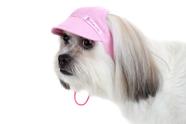 Boné Esportivo para Cachorro e Gato Pet