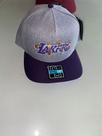 Boné masculino lakers Roxo
