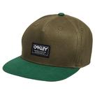Bone Oakley Bondi B1B Snapback