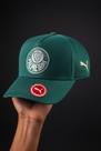 Boné Palmeiras Premium Adulto Verde