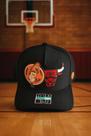 Boné Premium Coleção Looney Tunes Time de Basquete Chicago Bulls