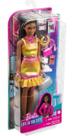 Boneca Barbie Brooklyn com pet e acessorios hgx53